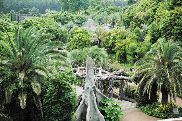 アマゾンの密林/よこはま動物園ズーラシア(神奈川県/横浜市)