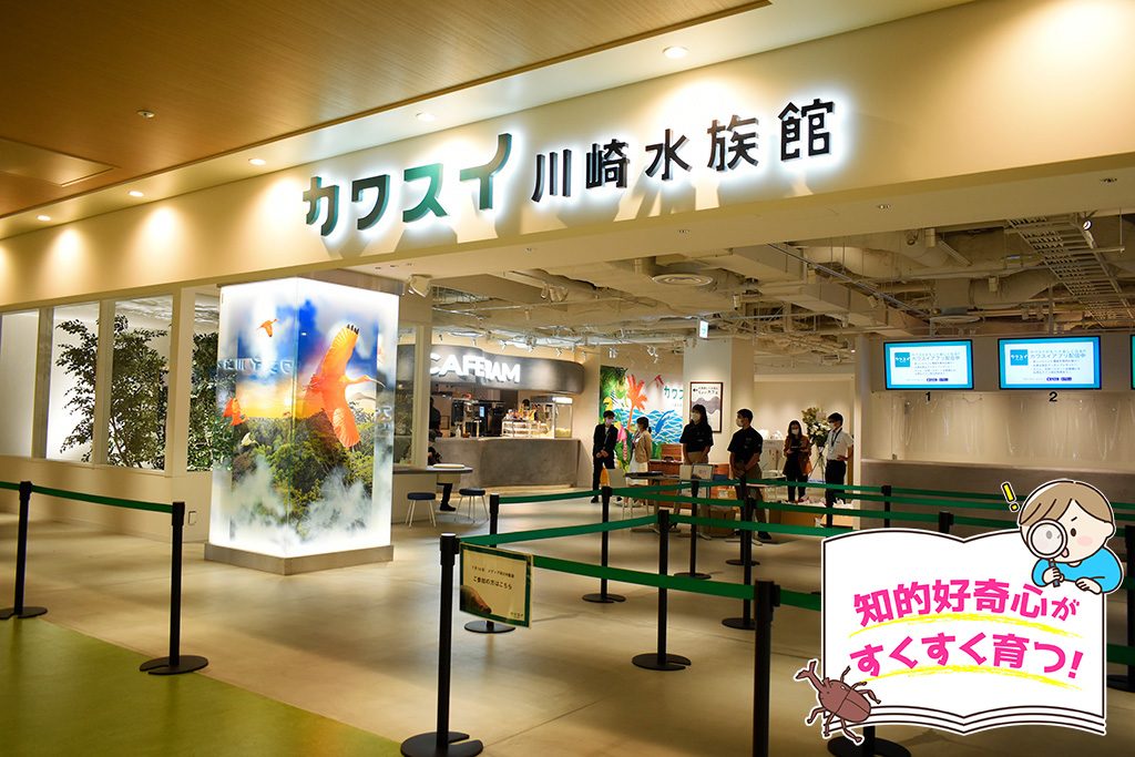 カワスイ 川崎水族館（神奈川県/川崎市）