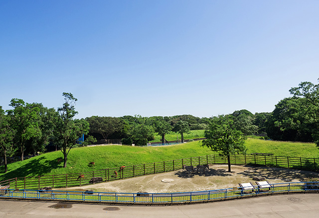 「パノラマ展示」を見渡せる展望デッキ/千葉市動物公園(千葉県)