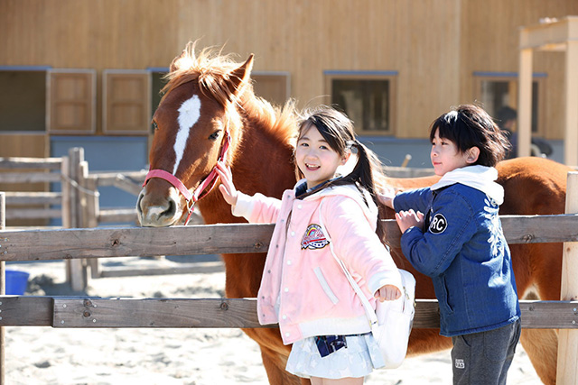 ウマやポニーに乗ったりさわることができます/千葉市動物公園(千葉県)