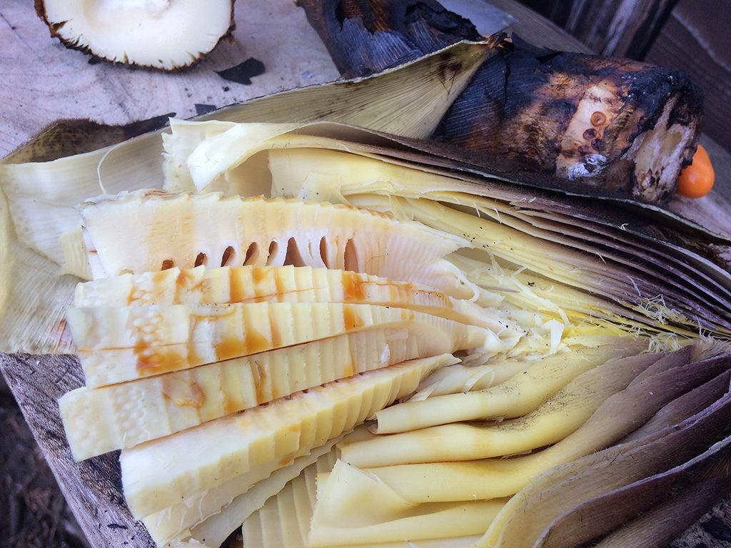 「空と大地の丘　森本農園」（千葉県/木更津市）