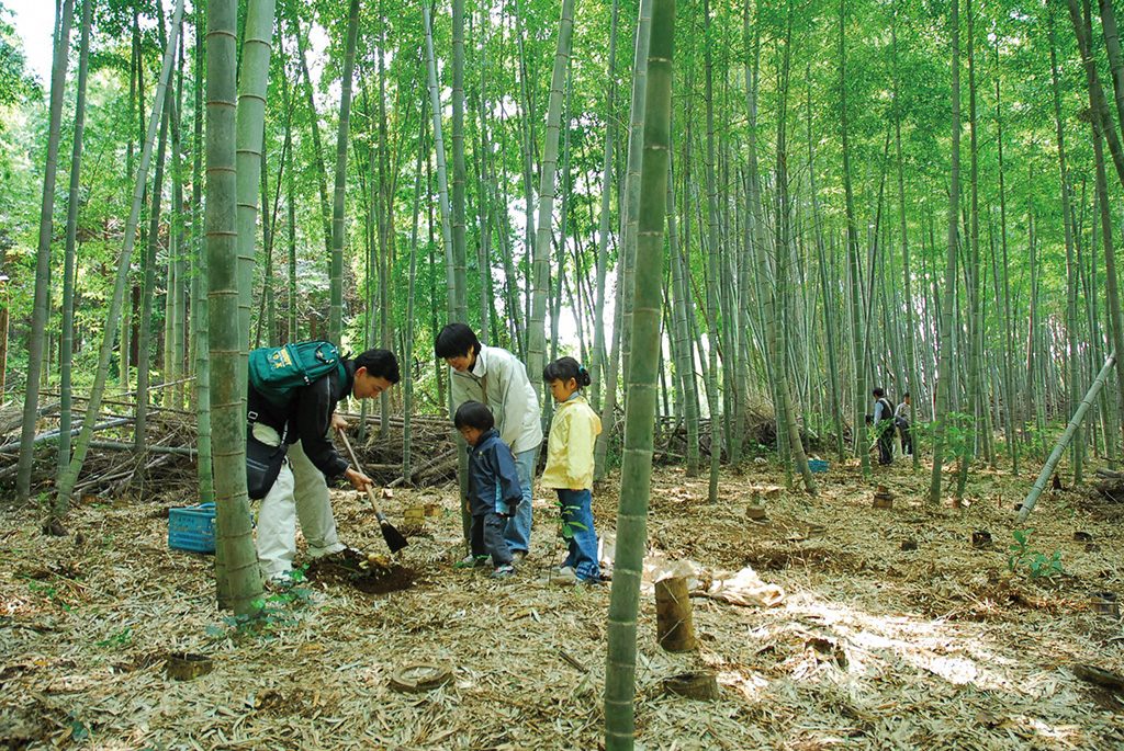 たけのこ掘りの様子/「芝山観光竹の子園」（千葉県/芝山町）