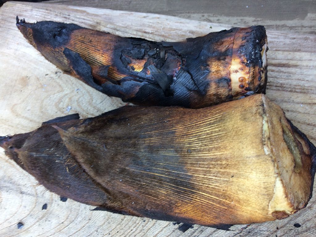 「空と大地の丘　森本農園」（千葉県/木更津市）