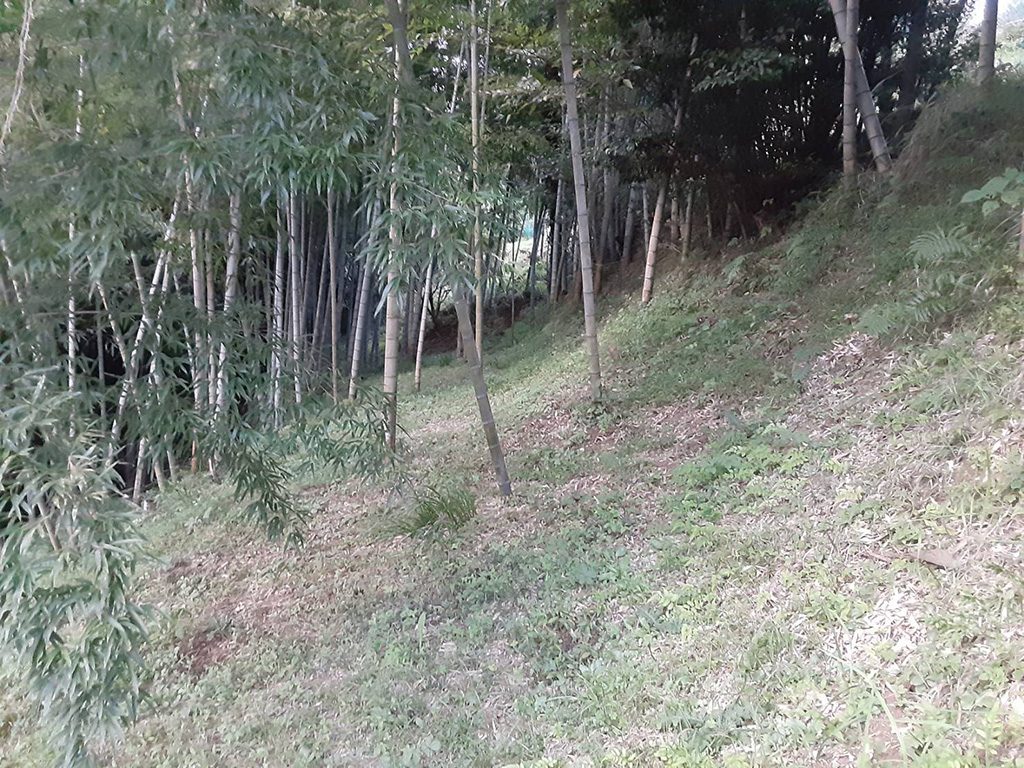 「丸増園」(神奈川県/松田町)