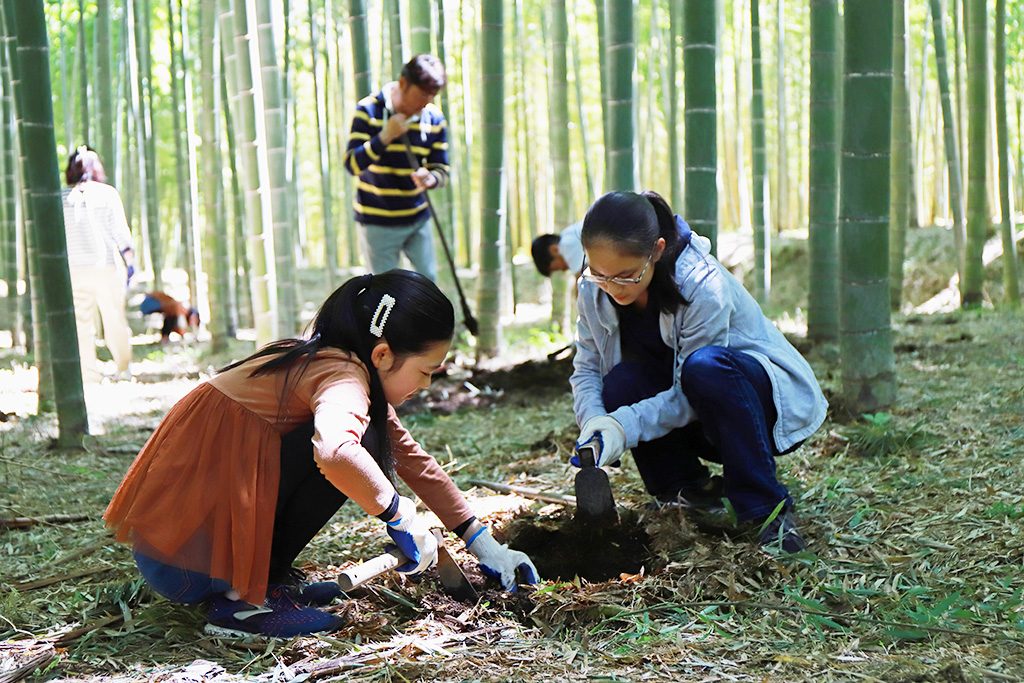 たけのこ掘りの様子/「若竹の杜 若山農場」(栃木県/宇都宮市)