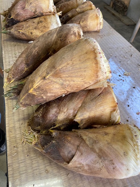 「千弥農園」(京都府/京都市)