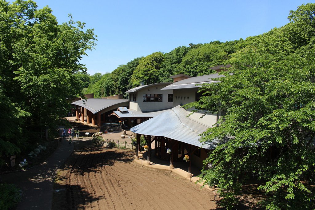 種まきから作品づくりを体験できる畑/ふなばしアンデルセン公園 子ども美術館(千葉県/船橋市)