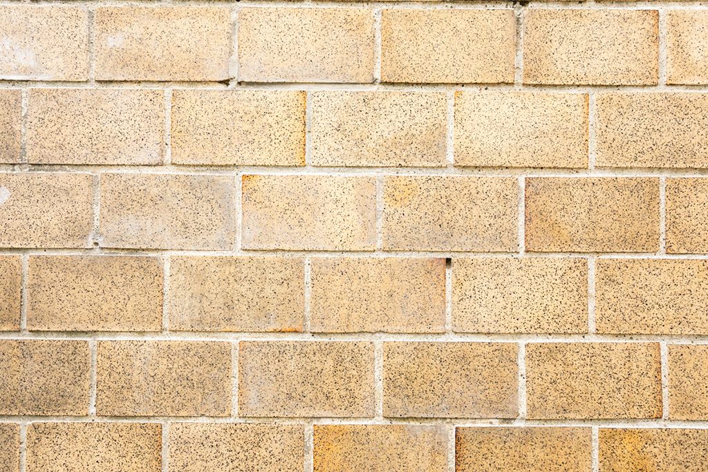 3階「ホール」の外壁/国立国会図書館 国際子ども図書館(東京都/台東区)