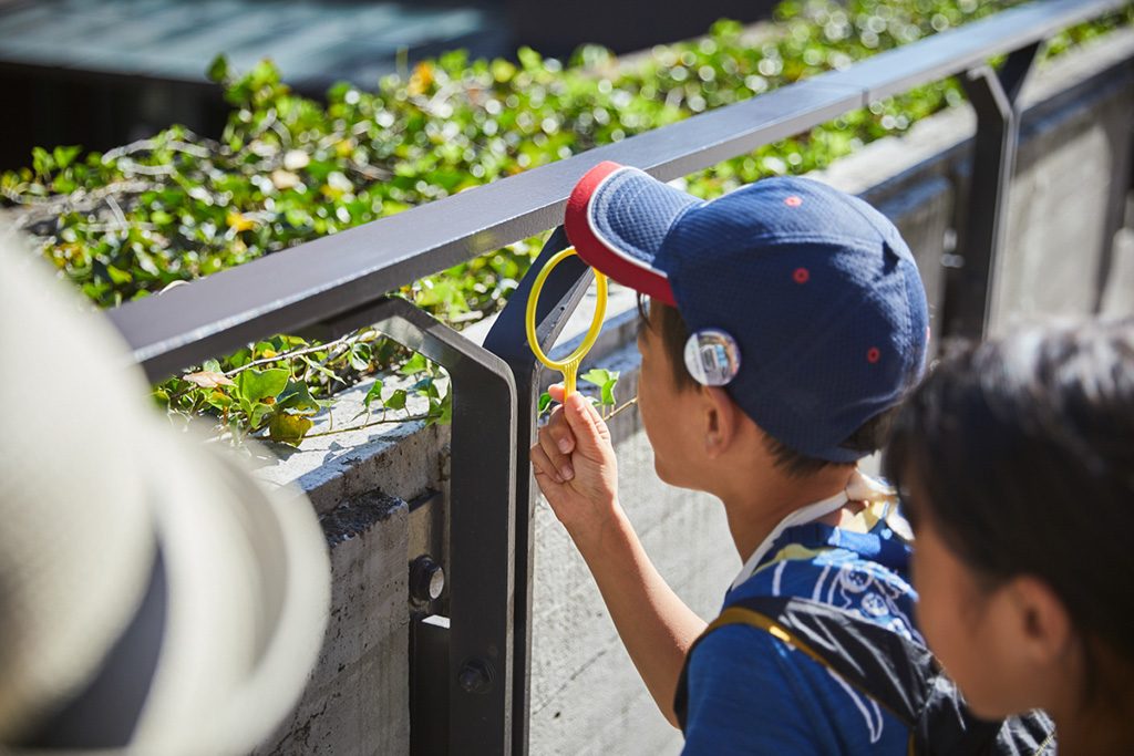 東京都美術館(東京都/台東区)