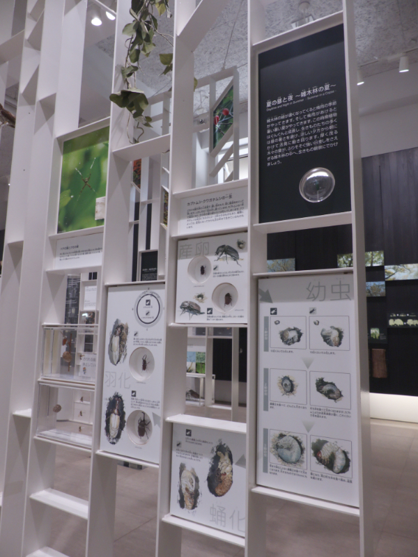 かわさき宙と緑の科学館(神奈川県)