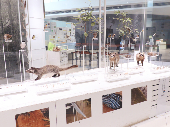 かわさき宙と緑の科学館(神奈川県)