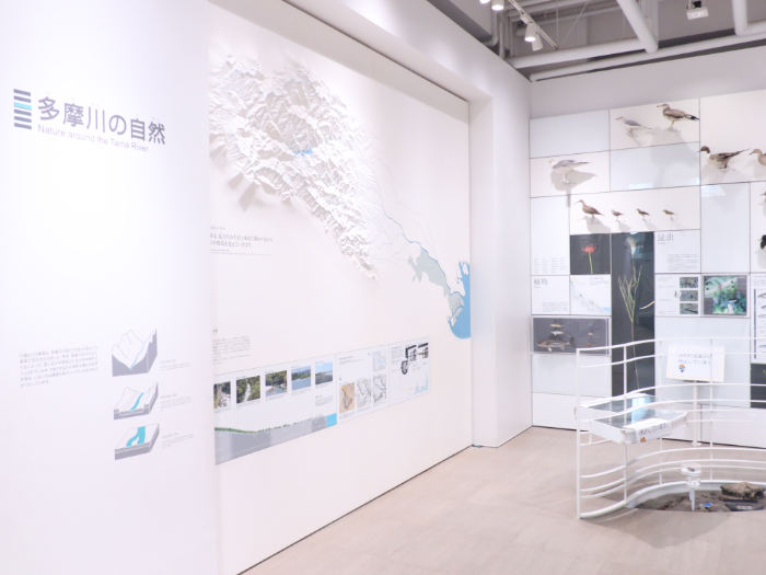 かわさき宙と緑の科学館(神奈川県)