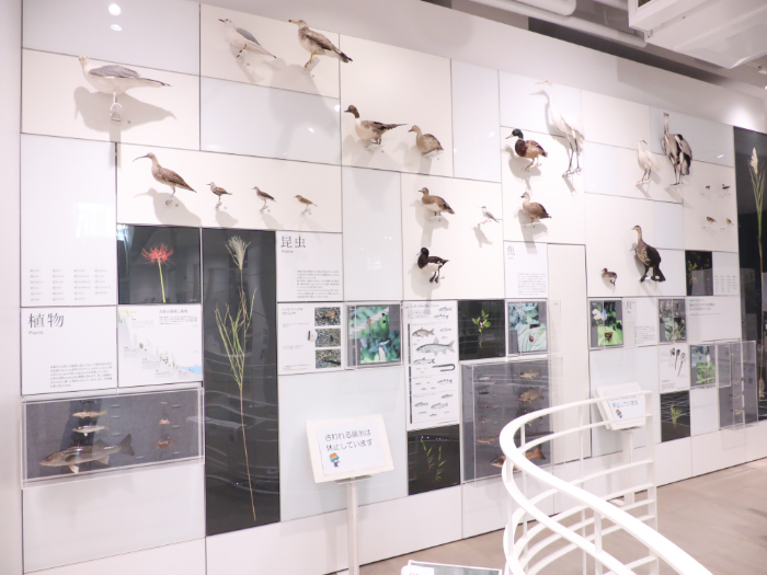 かわさき宙と緑の科学館(神奈川県)