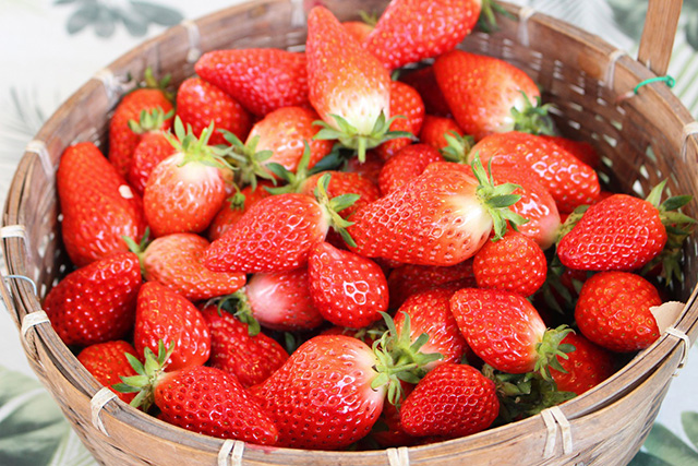 二郎農園の二郎いちご(兵庫県/神戸市)