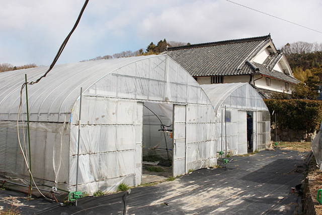 滑浦武志農園(兵庫県/神戸市)