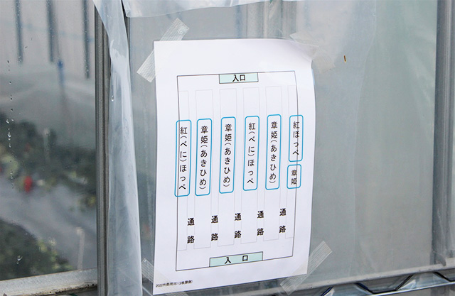 風(ふう)ファーム根木いちご園(兵庫県/神戸市)