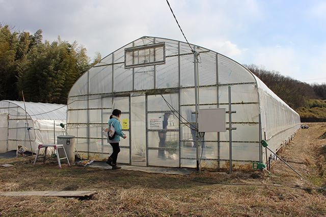 いちご松(兵庫県/神戸市)