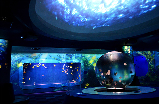 クラゲファンタジーホール/新江ノ島水族館（神奈川県/藤沢市）
