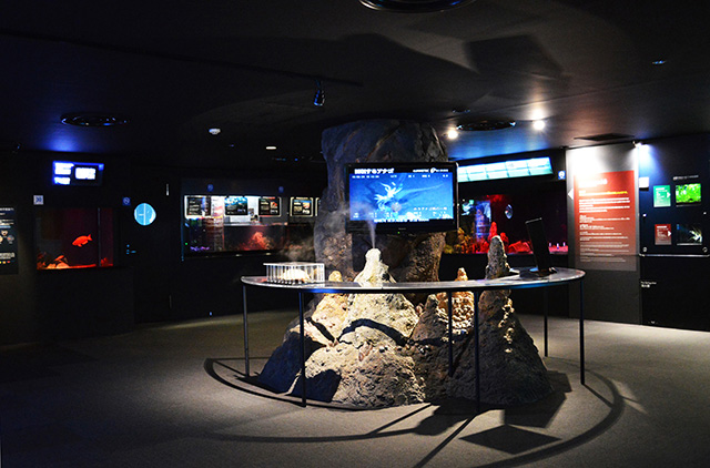 深海に生息する生きものや魚を展示/新江ノ島水族館（神奈川県/藤沢市）