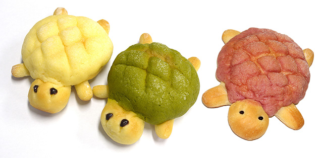 カメロンパン/新江ノ島水族館（神奈川県/藤沢市）