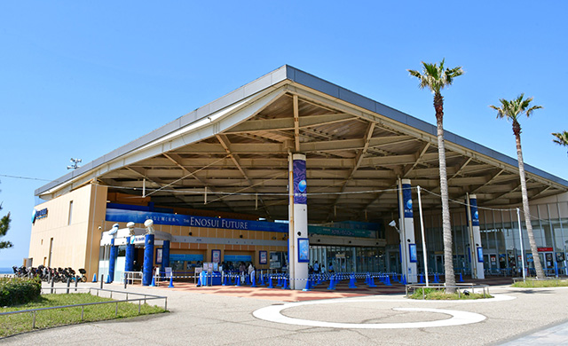 新江ノ島水族館（神奈川県/藤沢市）