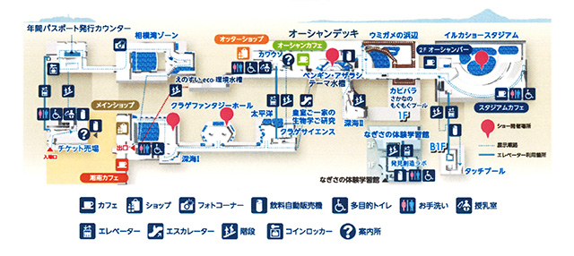 館内マップ/新江ノ島水族館（神奈川県/藤沢市）