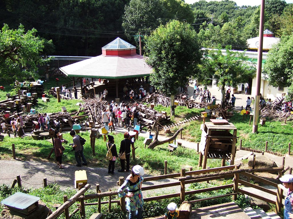 「リス放し飼い広場」の全景/町田リス園(東京都/町田市)