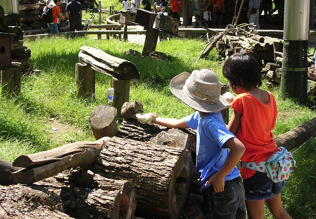 リスのエサやり体験/町田リス園(東京都/町田市)