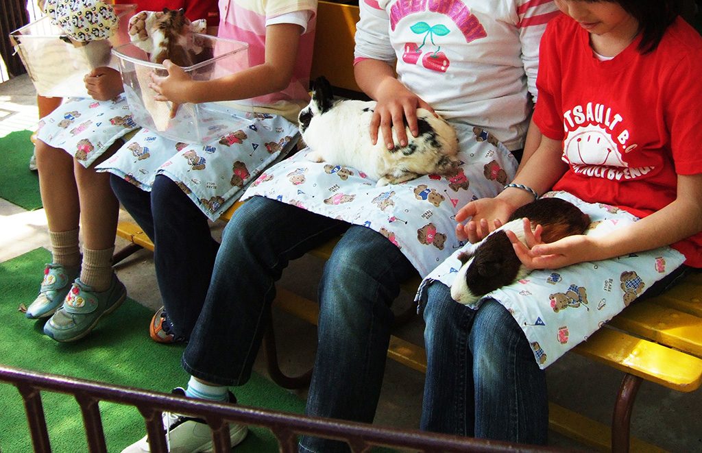 ウサギやモルモットとふれあい体験/町田リス園(東京都/町田市)