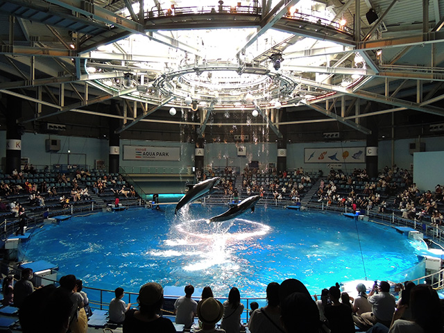 「ザ スタジアム」/マクセル アクアパーク品川（東京都/港区）