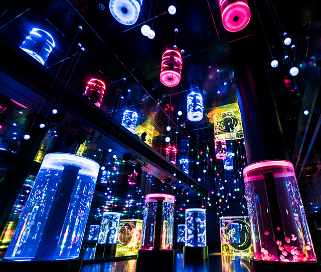 「ジェリーフィッシュランブル」/マクセル アクアパーク品川（東京都/港区）