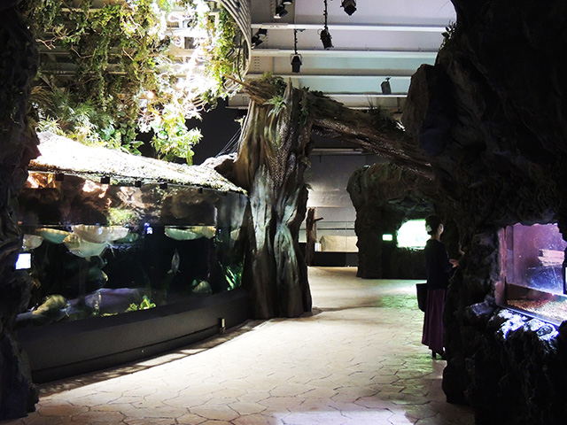 「アクアジャングル」/マクセル アクアパーク品川（東京都/港区）