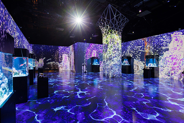 イマーシブエリア「パターンズ」/マクセル アクアパーク品川（東京都/港区）