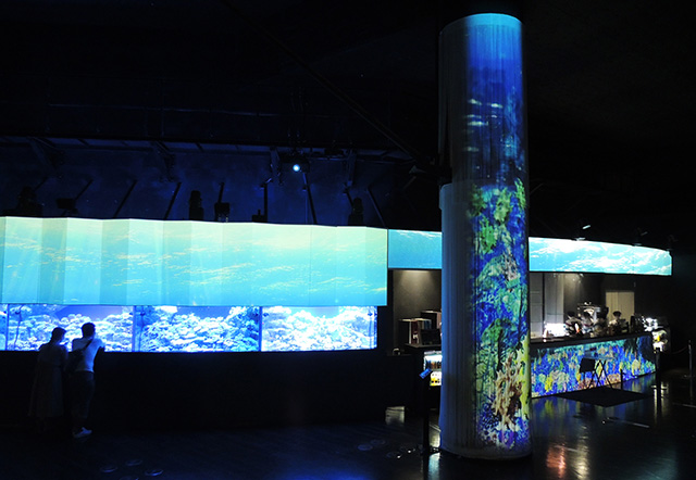 コーラルカフェバー/マクセル アクアパーク品川（東京都/港区）