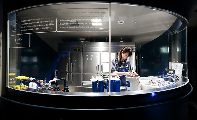 アクアベースの「キッチン」/すみだ水族館(東京都/墨田区)
