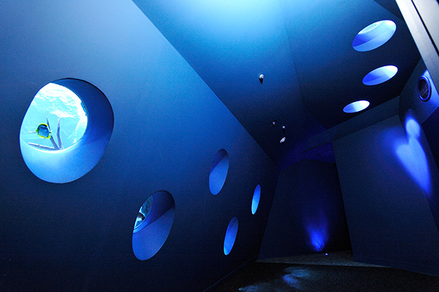 小窓から水槽を眺めるアクアスコープ/すみだ水族館(東京都/墨田区)