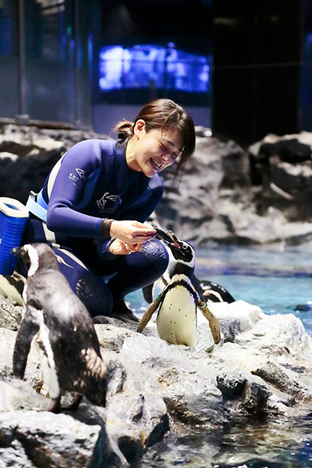 ペンギンのゴハンの時間/すみだ水族館(東京都/墨田区)