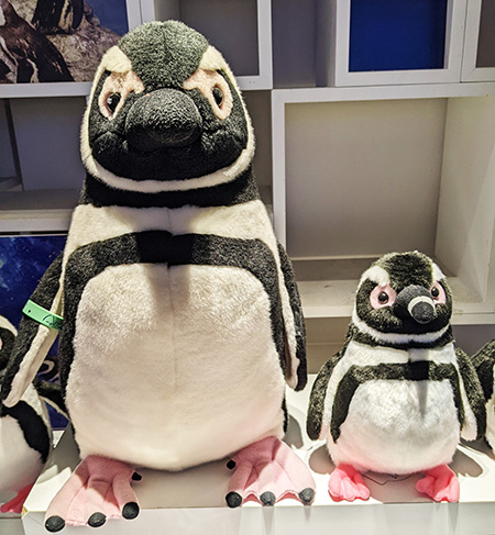 マゼランペンギン ぬいぐるみ/すみだ水族館(東京都/墨田区)