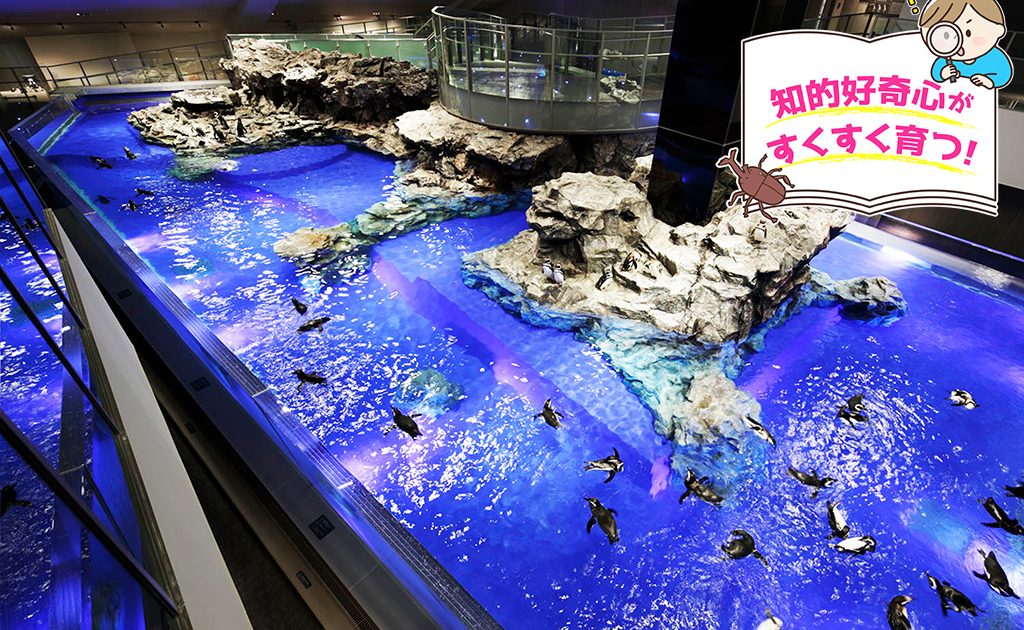 ご当地キティ アクアリウム 水族館 4個セット アクア水族館スプリング| おもちゃ・縁日玩具・駄菓子・ガチャガチャ
