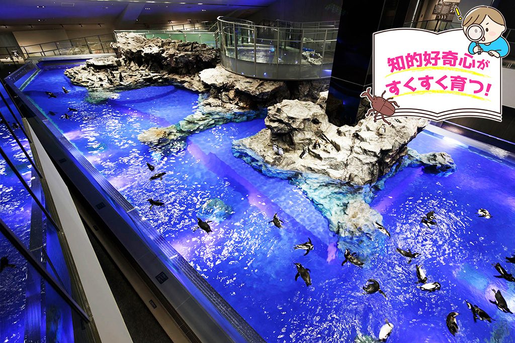 すみだ水族館（東京都/墨田区）