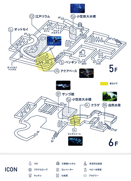 館内マップ/すみだ水族館(東京都/墨田区)