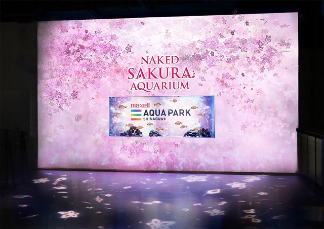 桜便り/NAKED SAKURA AQUARIUM/マクセル アクアパーク品川(東京都/港区)