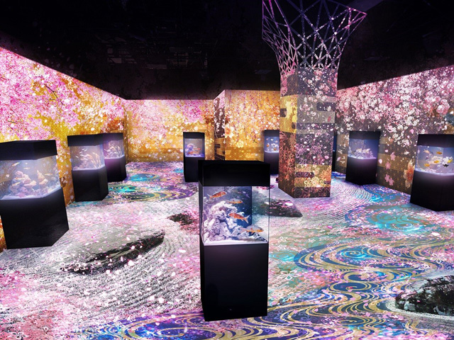 舞桜の庭/NAKED SAKURA AQUARIUM/マクセル アクアパーク品川(東京都/港区)
