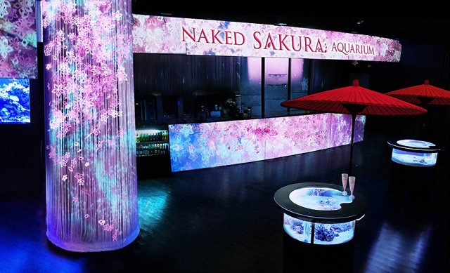 花灯(はなあかり)/NAKED SAKURA AQUARIUM/マクセル アクアパーク品川(東京都/港区)