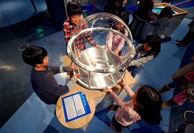 チャレンジの部屋「ボールぐるぐる」/多摩六都科学館（東京都/西東京市）