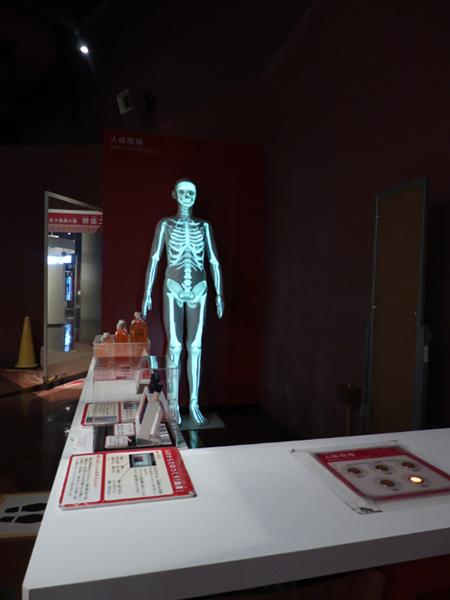 「人体探索」/多摩六都科学館（東京都/西東京市）