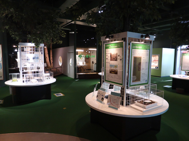 自然の部屋/多摩六都科学館（東京都/西東京市）