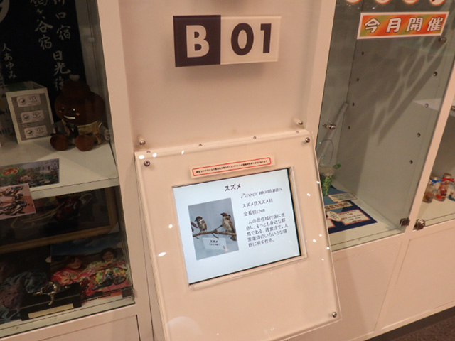 鳥たちの詳しい情報を読むことができるタッチパネル/川口市立科学館（埼玉県）