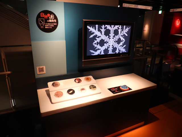 「自然界の形の規則性」の展示/千葉市科学館（千葉県）