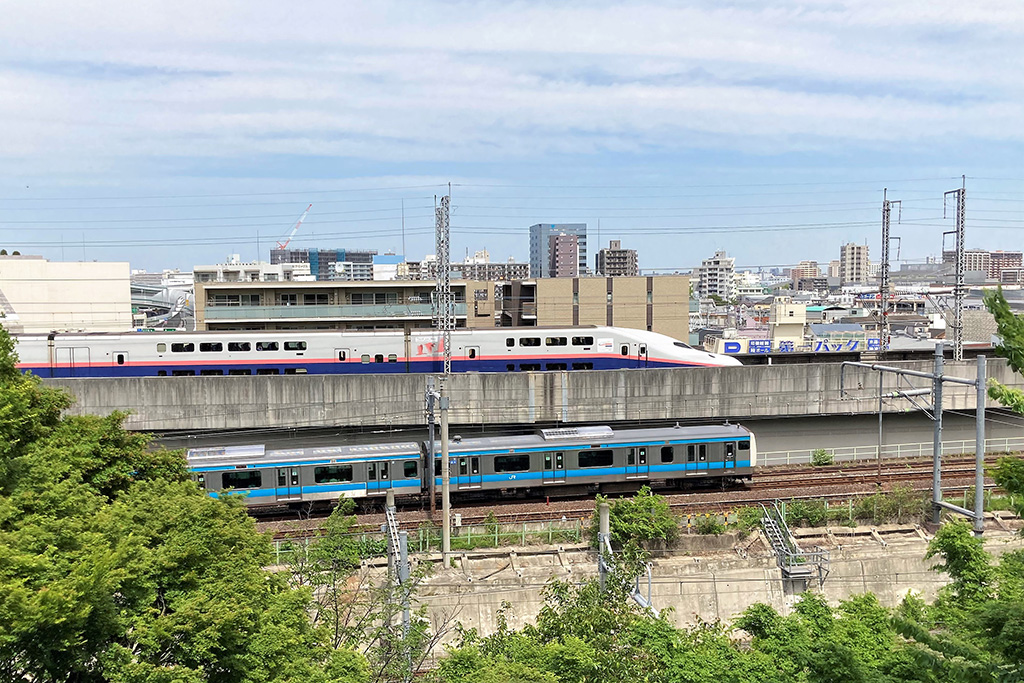 展望デッキ/飛鳥山公園(東京都/北区)